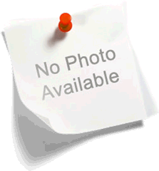 image302.png image302.png